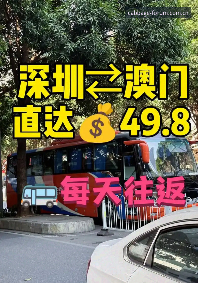 如何找到冠军白菜网最新地址？安全直达通道全解析