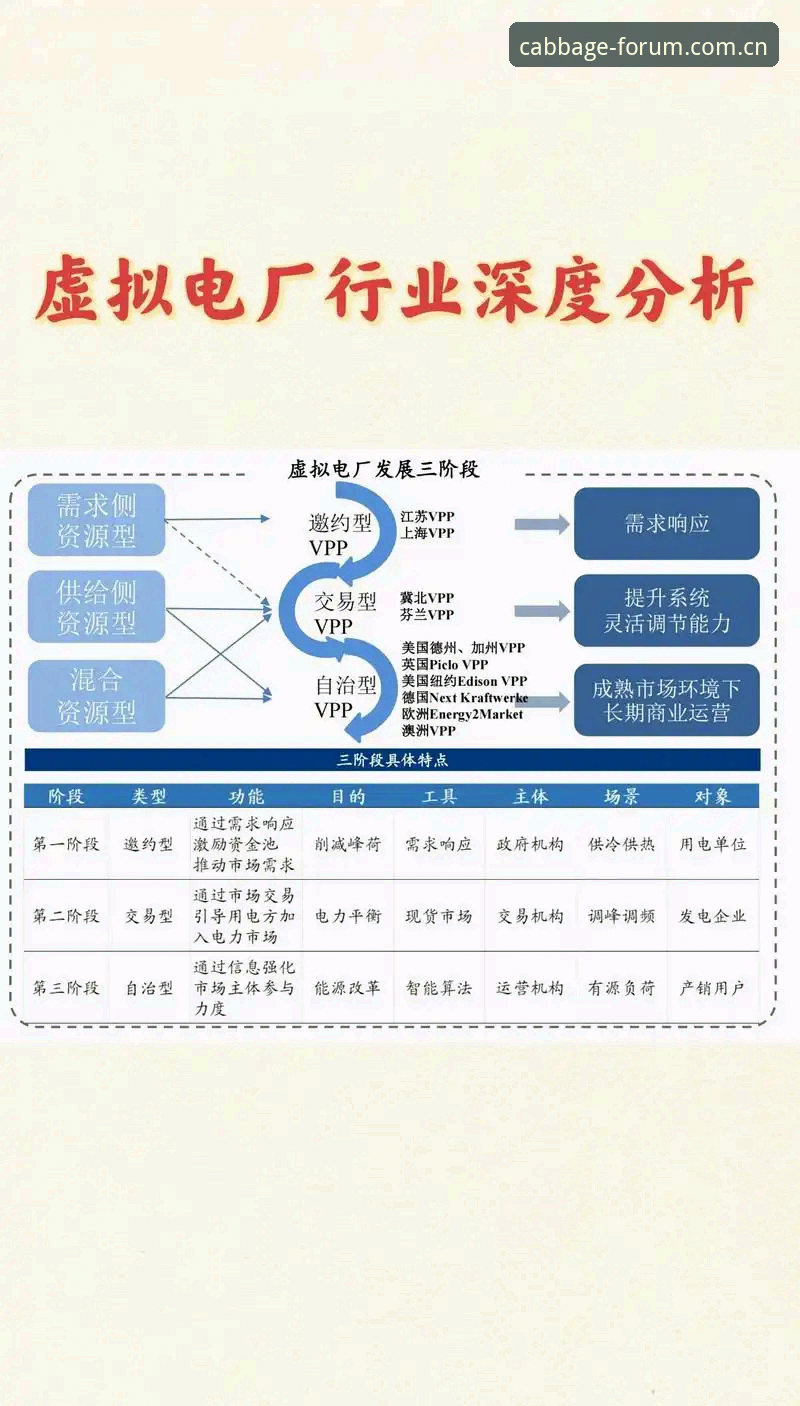 冠军白菜网安全访问路径全面解析：行业趋势与用户保障深度分析