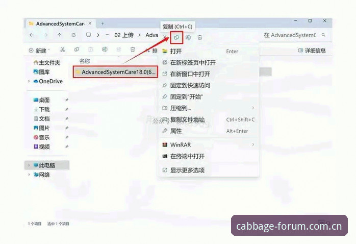 冠军白菜平台使用教程：从下载到注册的安全操作指南