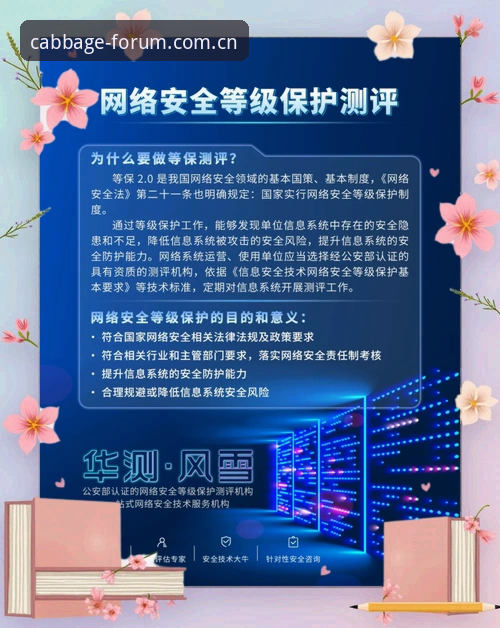 冠军白菜网论坛官网官方下载详解：安全通道与技术评测