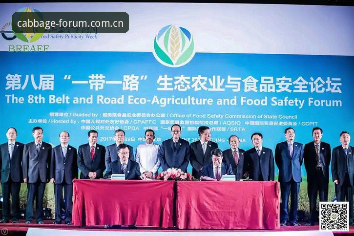 冠军白菜网直达通道全面解析：安全入口与最新导航指南