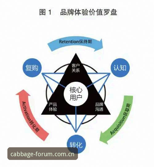 冠军白菜平台 vs 普通导航站：为何官方地址与安全入口的选择决定体验