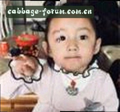 吴鹏