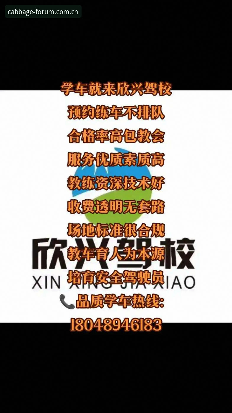 新手必看：冠军白菜网地址更新实战经验，资深用户教你安全直达